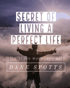 secret of perfect life poster